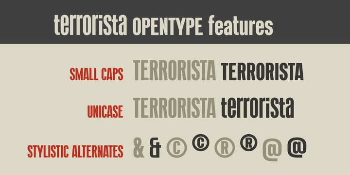 Пример шрифта Terrorista #8